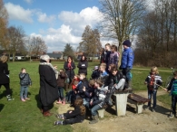 IJsvogel Spotten (1)