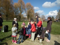 IJsvogel Spotten (1)