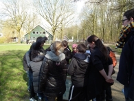 IJsvogel Spotten (1)