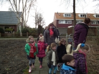 IJsvogel Spotten (1)