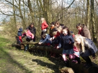 IJsvogel Spotten (1)