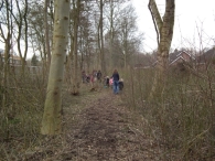 IJsvogel Spotten (1)