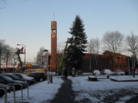 Kerstbomen plaatsen