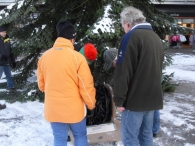 Kerstbomen plaatsen