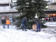 Kerstbomen plaatsen