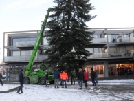 Kerstbomen plaatsen