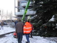 Kerstbomen plaatsen