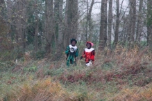 Intocht Sinterklaas (2)