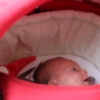 Koningsdag 2014: Koningsdag - ochtend (2)