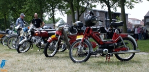 Feestweek 2016: zaterdag (2)