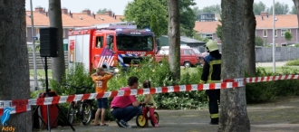 Feestweek 2016: zaterdag (3)