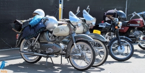 Feestweek - zaterdag (1/5)