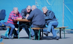 Feestweek - zaterdag (1/5)