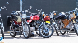 Feestweek - zaterdag (1/5)