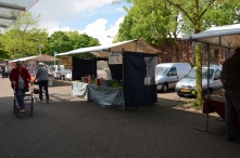 Feestweek - zaterdag (3/5)