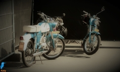 Feestweek - zaterdag (1/5)