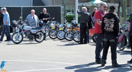 Feestweek - zaterdag (1/5)