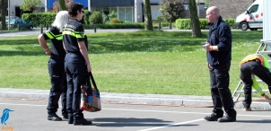 Feestweek - zaterdag (1/5)