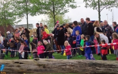 Paaseieren zoeken 2017 (2/2)