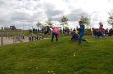 Paaseieren zoeken 2017 (1/2)