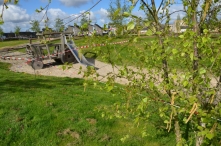 Paaseieren zoeken 2017 (1/2)