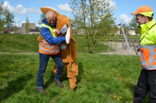 Paaseieren zoeken 2017 (1/2)