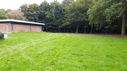 Bidding Doe-Dag 2020