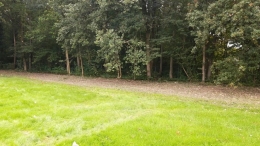 Bidding Doe-Dag 2020