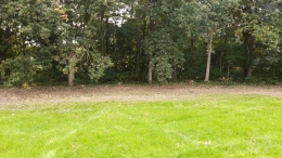 Bidding Doe-Dag 2020