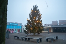 Lichtjestour 2021