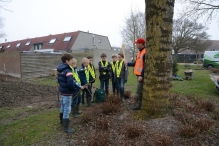 Boomfeestdag 2015