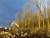 In vogelvlucht: Noaberpark