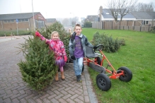 Kerstbomen versnipperen