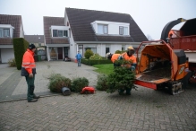 Kerstbomen versnipperen