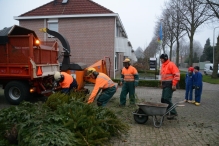 Kerstbomen versnipperen