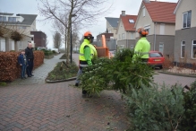 Kerstbomen versnipperen