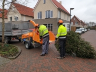 Kerstbomen versnipperen