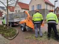 Kerstbomen versnipperen