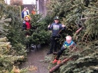 Kerstbomen versnipperen
