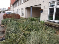 Kerstbomen versnipperen