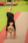 Clubkampioenschappen BAS Gymnastiek 2018 (3/3)