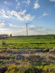 Plukavond bij Hanneke's Pluktuin