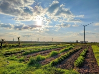 Plukavond bij Hanneke's Pluktuin