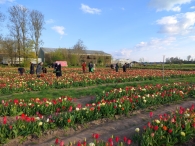 Plukavond bij Hanneke's Pluktuin