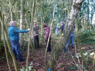 Natuurwerkdag 2017: Pierland