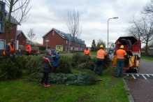 In vogelvlucht: kerstbomen versnipperen