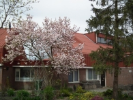 Koninginnedag 2013 (2)