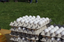 Koninginnedag 2013 Zeskamp