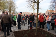 Koninginnedag 2013 (1/3)