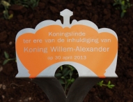 Koninginnedag 2013 (1/3)